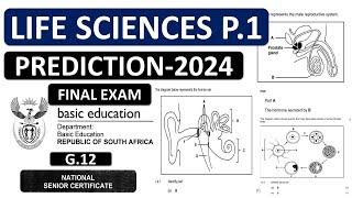 2024 GRADE LIFE SCIENCES P1 PREDICTIONS NOVEMBER EXAMS 2024 THUNDEREDUC BY M SAIDI [upl. by Nitsug941]