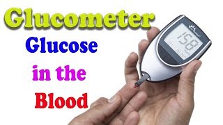 Glucometer Dr Morepen BG03 Gluco One Unboxing amp Review [upl. by Terb]