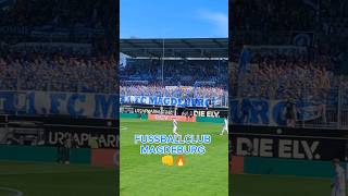 FUSSBALLCLUB MAGDEBURG 👊🔥 magdeburg fcm ultras fans fcmagdeburg ostdeutschland 2liga ground [upl. by Caldwell]