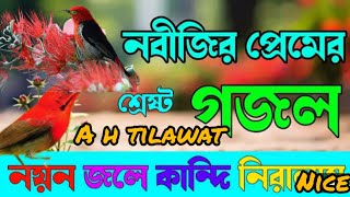 নয়ন জলে কান্দি নিরালায় দয়াল নবিজী সব রইলাম শুধু আপনারই আসায় birds গজল খুবই দুঃখের একটি গজল [upl. by Fredric453]