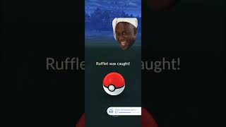 Finally I Got ✨Shiny Rufflet in pokemongo [upl. by Naej560]