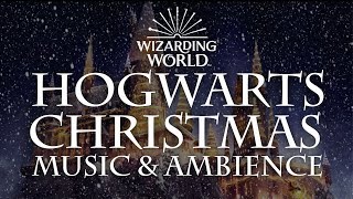 Harry Potter Music amp Ambience  Hogwarts Christmas Music with Snow Sounds [upl. by Gusta367]