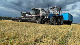 Harvesting in RussiaGetreideernte in Russland [upl. by Lrac]