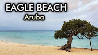 The Best Beaches of Aruba  Palm Beach and  4K [upl. by Ribaj614]