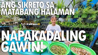 ANG SIKRETO SA MATABANG HALAMAN  Homemade Fertilizer o Compost  Haydees Garden [upl. by Nnylesor]