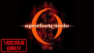 A Perfect Circle  Judith  Vocals Only Studio Version [upl. by Llirpa]