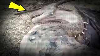 5 Monsters Caught On Camera amp Spotted In Real Life [upl. by Aivataj457]