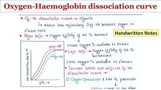 OxygenHaemoglobin dissociation curve  Handwritten notes [upl. by Jemmie677]