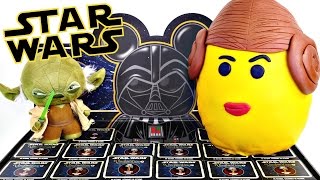 BIG Play Doh Star Wars LEGO Surprise Egg FULL CASE Blind Box Vinylmation Collectible Toys [upl. by Gnuhc440]