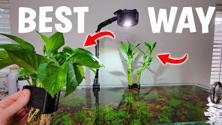 BEST Way To Display Houseplants In Your Aquarium  Full Tutorial [upl. by Raybourne]