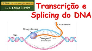 transcrição e splicing do DNA [upl. by Selokcin238]