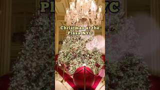 🎄Inside the Plaza Hotel  Christmas in New York City nyc christmas [upl. by Casimir]