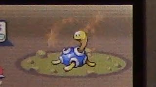 Live Shiny Shuckle 7572 REs [upl. by Stanford160]