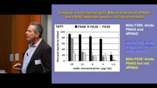 Molecular factors mediating immunity targeting PolyNAcetyl Glucosamine [upl. by Anoyet]