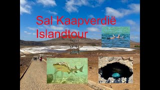 Things to do Sal cape Verd Sal Kaap Verdië Islandtour Sharkbay Salinas Blue Eye amp Natural poo [upl. by Hardner357]