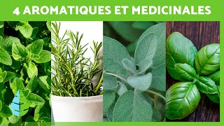 4 PLANTES AROMATIQUES et MÉDICINALES et leurs BIENFAITS sur la SANTÉ 🌿✅ [upl. by Varney]