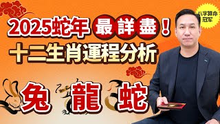 2025年蛇年十二生肖運程  兔 龍 蛇  事業、財運、愛情、健康最詳細運程分析  先人一步，知命用命  八字大叔振鴻師傅 生肖 運勢 蛇年 事業 財運 愛情 [upl. by Kei335]