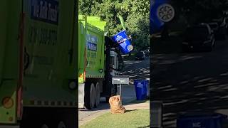 Side Loader Garbage Truck garbagetrucks trashtruck short shorts shortsfeed shortvideo [upl. by Atilef]