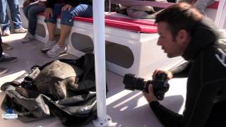 Des tortues vertes en Méditerranée Occidentale [upl. by Glory409]