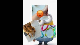 Lily is savage… goldenretriever bracelt jewelrymaking [upl. by Sanferd]