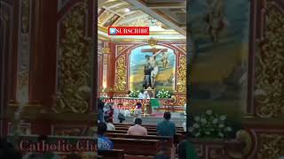 Sunday Mass At St Francis Of Assisi Parish sundaymass sundayservice worship catholicchurch [upl. by Lerej]