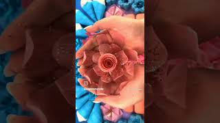 SATISFYING WAX FLOWERS 🌹 CRUSHING ASMR  shorts youtubeshorts asmr [upl. by Frazier992]