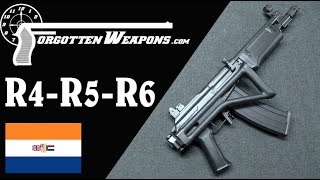 South African Galils The R4 R5 R6 and LM Series [upl. by Enylhsa549]