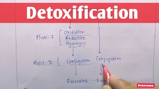 Detoxification  Metabolism of Xenobiotics  Conjugation Reactions  Biochemistry [upl. by Eslek]