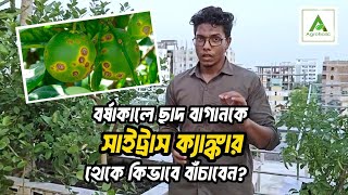 সাইট্রাস ক্যাঙ্কার বা পাতা ও ফল ঝরে পড়া রোগ এবং এর থেকে বাঁচার উপায়  Agroolic BD [upl. by Atihana]