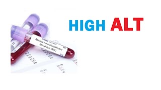 WHAT DOES HIGH ALT MEAN [upl. by Ambrose]