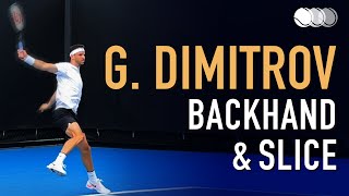 Grigor Dimitrov  Court Level Practice Backhand amp Backhand Slice Slow Motion 2021 240fps [upl. by Bresee150]