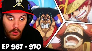 One Piece Episode 967 968 969 970 Reaction  BEST ONE PIECE BACKSTORY [upl. by Cynde55]