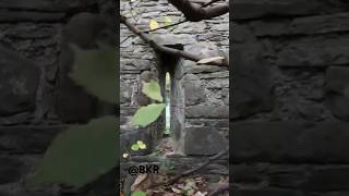 ABANDONED SCOTTISH CASTLE 🏴󠁧󠁢󠁳󠁣󠁴󠁿 Hidden in WILD Forest [upl. by Kletter]