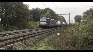 Intermodal Train 🚂 at Blerick the Netherlands 🇳🇱 November 102024 [upl. by Dajma]