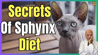 🔴 3 SECRETS OF SPHYNX DIET 🔴 [upl. by Remmos]