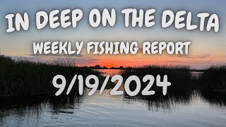 The In Deep On The Delta Weekly Fishing Report For 9192024 [upl. by Gabrielle]