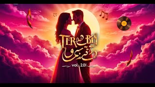 Tere Bin  Vol20   New Song 2024  New Hindi Song  TSTAR [upl. by Novit]