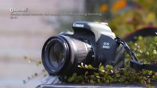 Canon EOS 800D [upl. by Maud]