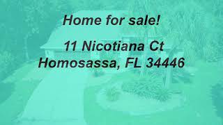 11 Nicotiana Ct Homosassa FL 34446 branded [upl. by Pernell665]