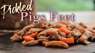 How to Make Pickled Pigs Feet  Food from the South [upl. by Amorette]