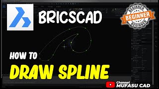 BricsCAD How To Draw Spline [upl. by Elaina514]