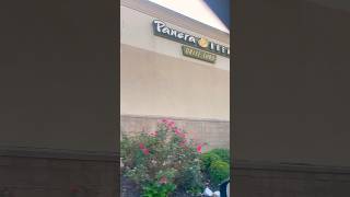 Panera bread new sandwich review shortvideo shortfood sandwich [upl. by Affer]