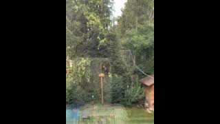 Spider web Time lapse nature spider spiderweb timelapse [upl. by Lesna321]