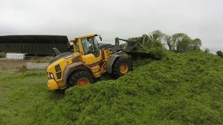 Volvo L60H Clamping Silage 2020  With Cab Ride [upl. by Ybrad]