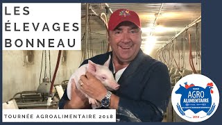 Les élevages Bonneau  StFrançoisdelaRivièreduSud 1  Tournée agroalimentaire 2018 [upl. by Ahseuqram879]