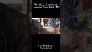 FREE FOR NONPROFIT VINDICTIVENESS uicideboy Type Phonk Beat [upl. by Huesman]