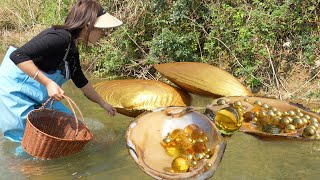 Natures Jewel Box Rare Aquatic Gems Encased in a Primitive Shell Found by Foreign Adventurer [upl. by Mchale]