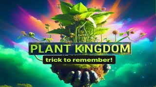 Trick to remember Plant Kingdom  Classification of Kingdom Plantae  Classification of Plants [upl. by Aikam]