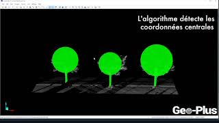 Détection automatique darbres dans un nuage de points DENDROMÉTRIE VisionLidar [upl. by Reid]