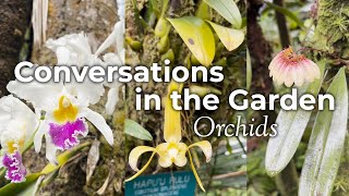 🎙️ Ep 1  Conversations in the Garden Orchids [upl. by Aurea894]